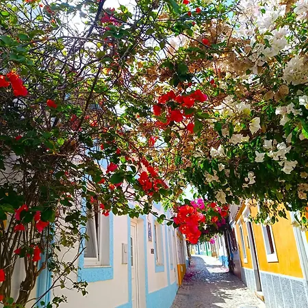 Ferragudo Beach Apartment With Sunset Terrace, Air Conditioning, Wi-Fi & Free Parking 费拉古多