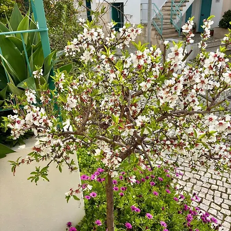 Charming Sunny Apartment Walk To Beach In Ferragudo Appartement *