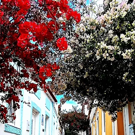 Apartmán Casa Da Cerca 2double Beds Near Beaches And Golf